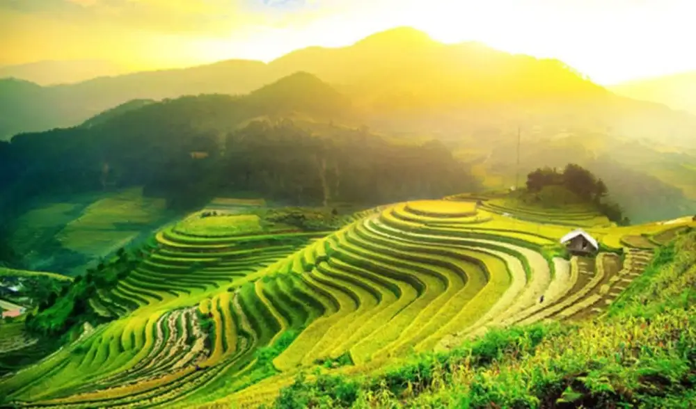 Ruộng bậc thang Hoàng Su Phì Hà Giang