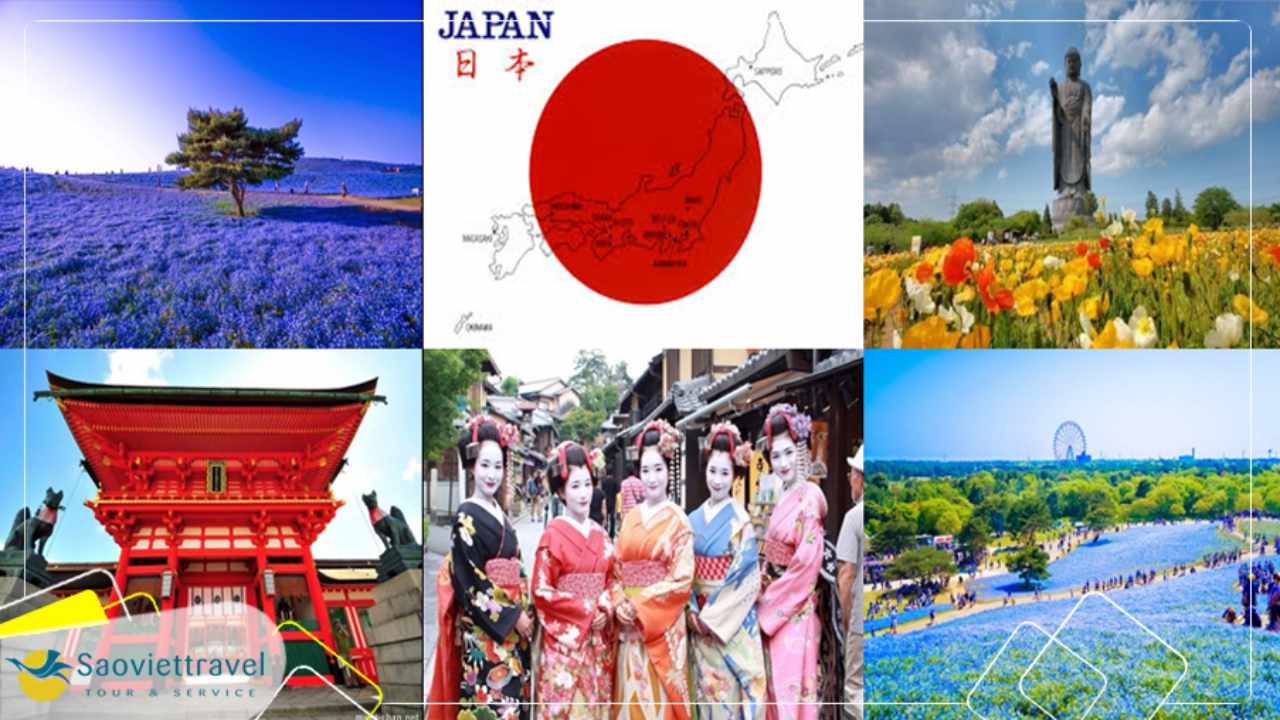 Du lịch Nhật Bản - Văn hoá trà đạo của người dân Nhật