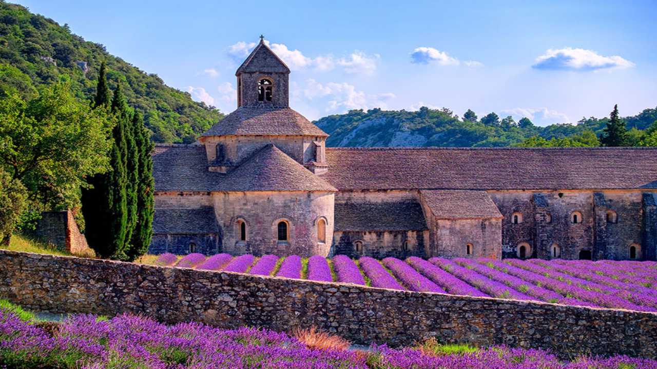 Provence đã nổi danh toàn thế giới với những cánh đồng hoa oải hương tím ấn tượng như thế này. Tour pháp