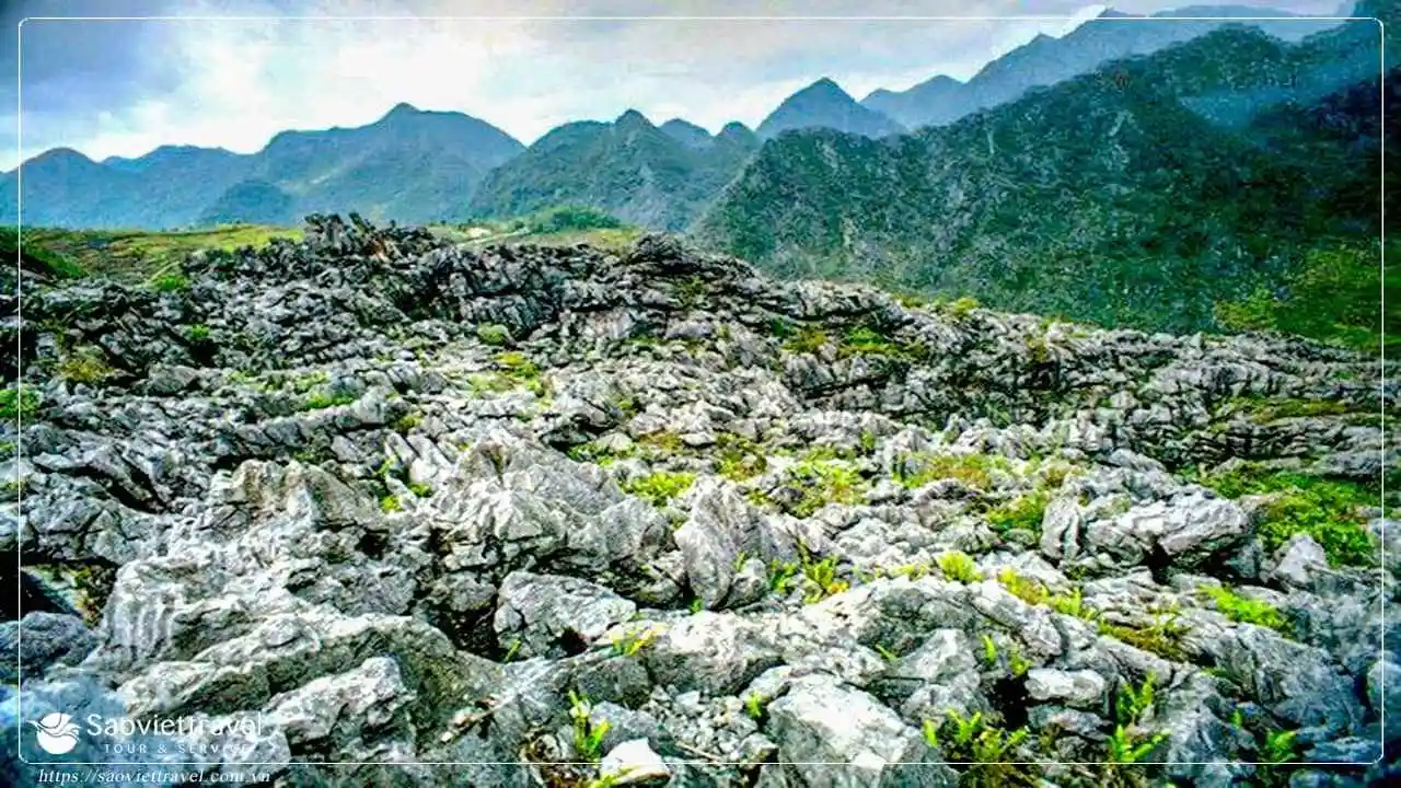 Du lịch Hà Giang - Cao Nguyên Đá Đồng Văn