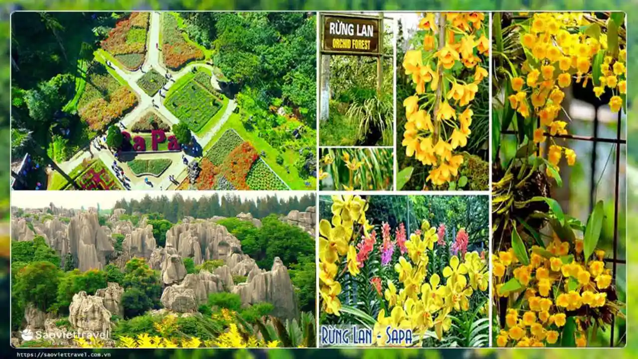 du lịch Sapa núi Hàm Rông