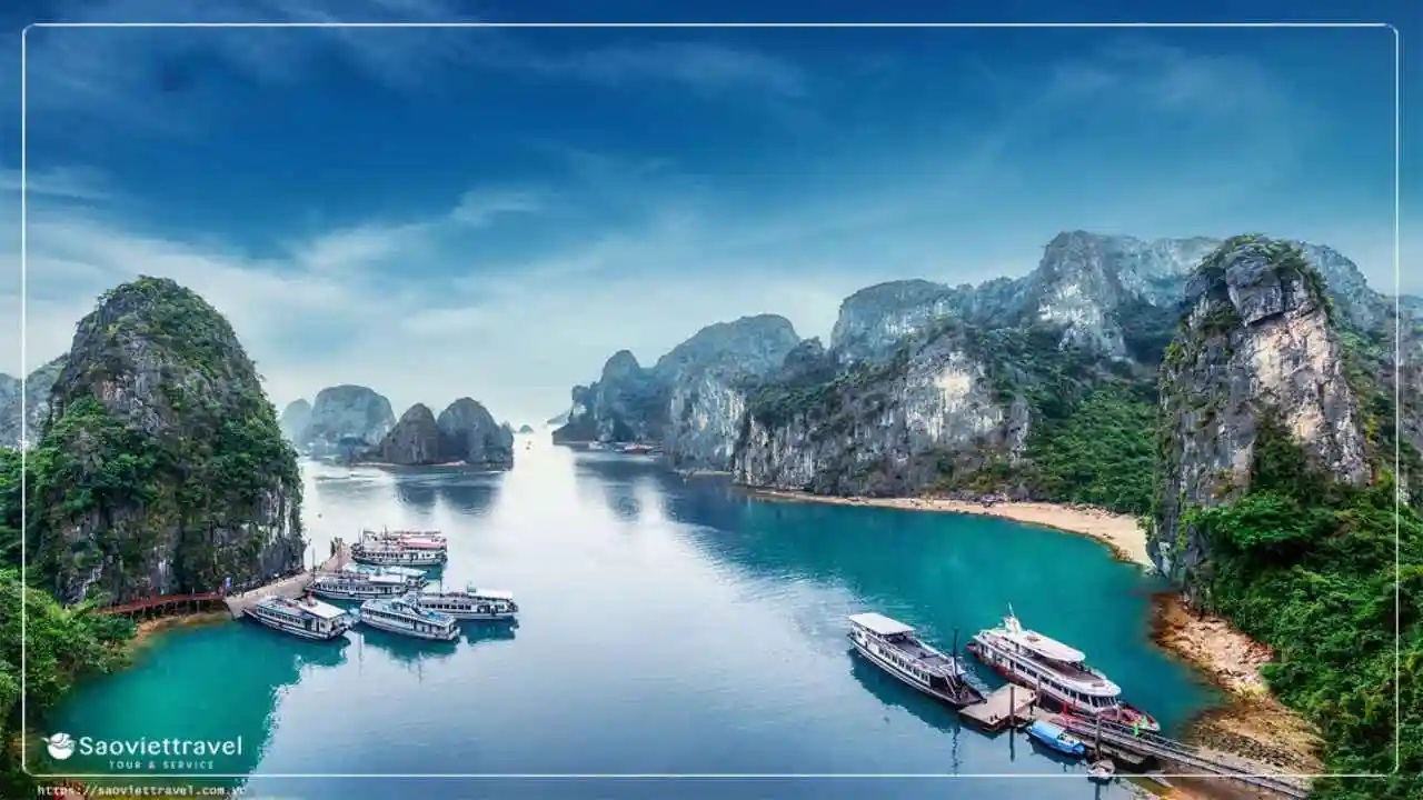 du lịch Vịnh Hạ Long