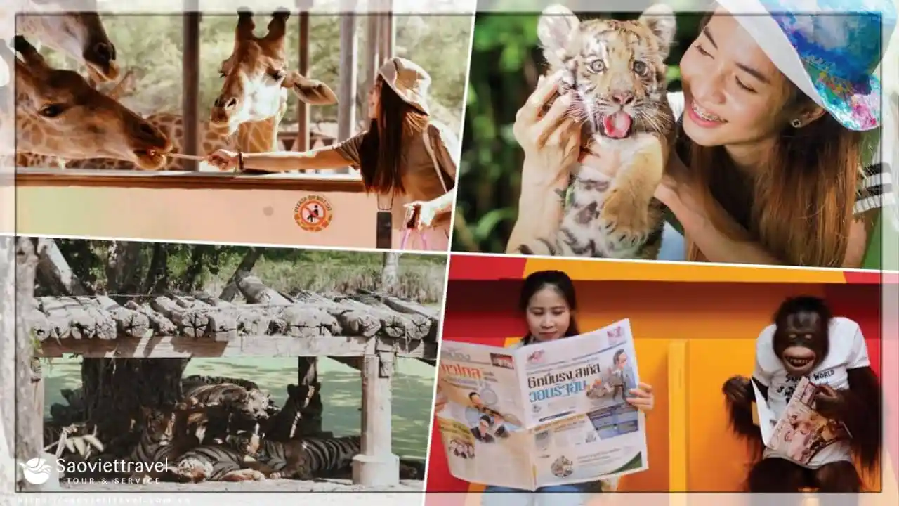du lịch thái lan safari world bangkok