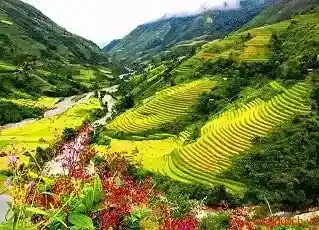 Du lịch Sapa