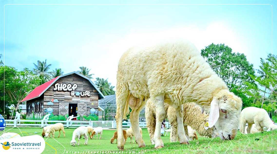 Tour Thái Lan 5N4Đ: Buffet 86 Tầng – Cưỡi Voi – Nông Trại Cừu – 4 Sao Mới Đặc Sắc