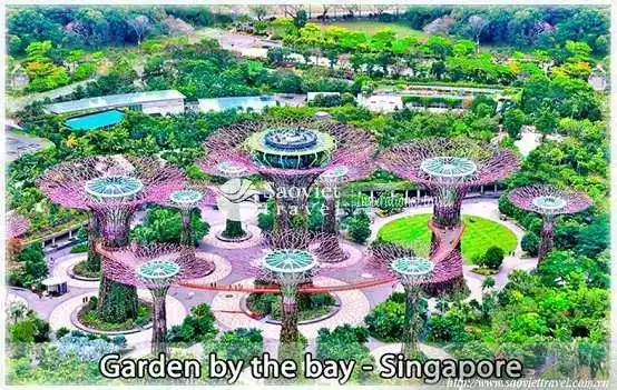 Du lịch Singapore - Garden By The Bay