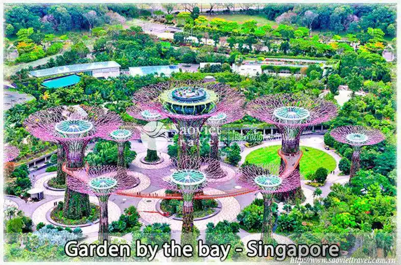 Du lịch Singapore Garden By The Bay