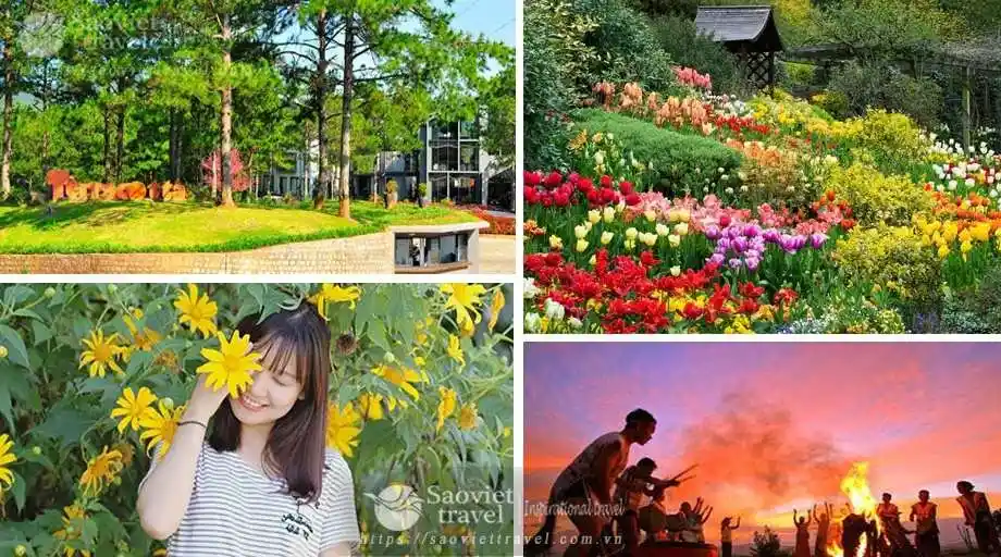 Tour Đà Lạt 4N3Đ: Hà Nội Lang Biang – Green Hill – Check in Vườn Dâu