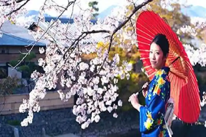 Tour Nhật Bản 3 Ngày 2 Đêm: Khám Phá Kyoto – Nara – Osaka từ Sài Gòn
