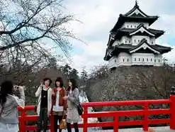 Tour Nhật Bản 3 Ngày 2 Đêm: Khám Phá Kyoto – Nara – Osaka từ Sài Gòn