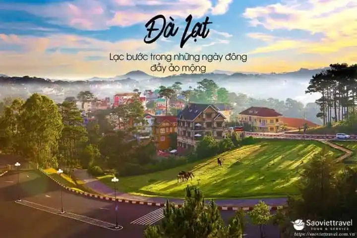 Tour Du lịch Đà Lạt 3 ngày 3 đêm giá tiết kiệm khởi hành từ Sài Gòn