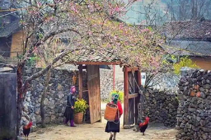 Tour Du lịch Hà Giang 2 ngày 3 đêm