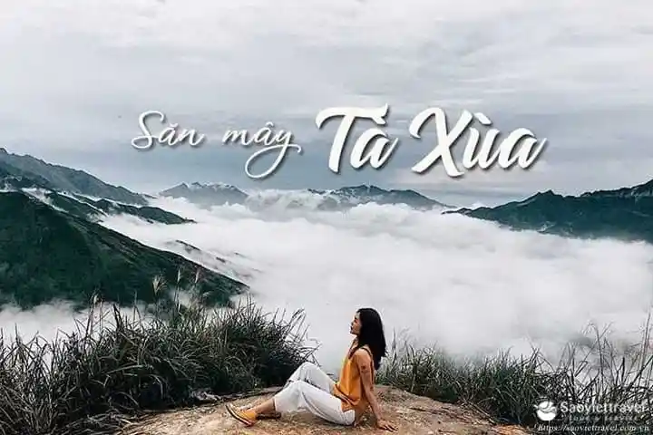 Tour du lich Mộc Châu 2 ngày 1 đêm