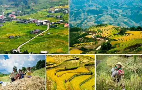 Tour du lịch Tây Bắc - Mai Châu - Mộc Châu - Điện Biên - Sơn La - Lai Châu - Sapa