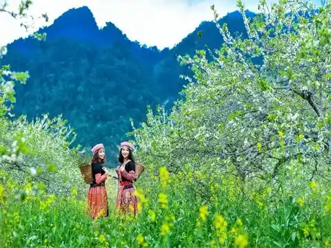 Tour Tây Bắc 3N3Đ: Hà Nội – Mai Châu – Mộc Châu – Sơn La – Điện Biên