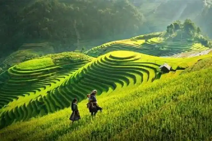Tour Tây Bắc 3N3Đ: Hà Nội – Mai Châu – Mộc Châu – Sơn La – Điện Biên