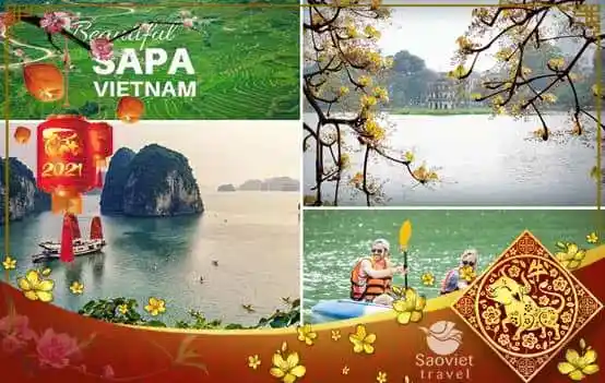Tour Miền Bắc Tết: Hà Nội – Ninh Bình – Hạ Long – Sapa – Fansipan – Lăng Bác 6N5Đ từ Sài Gòn