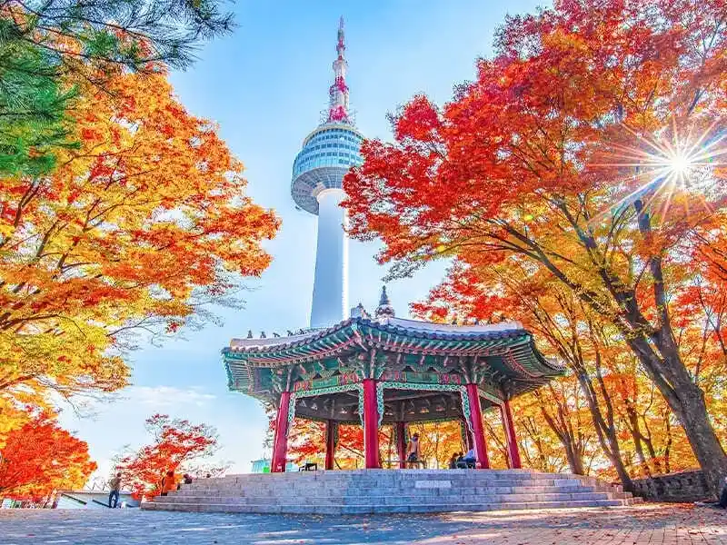 Tour Hàn Quốc trọn gói giá ưu đãi