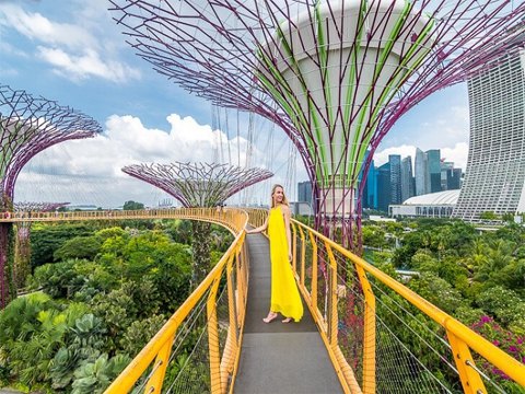 Tour Singapore 4N3Đ: Đảo Sentosa – Garden By The Bay – Fort Canning Park từ Sài Gòn giá tốt  2023